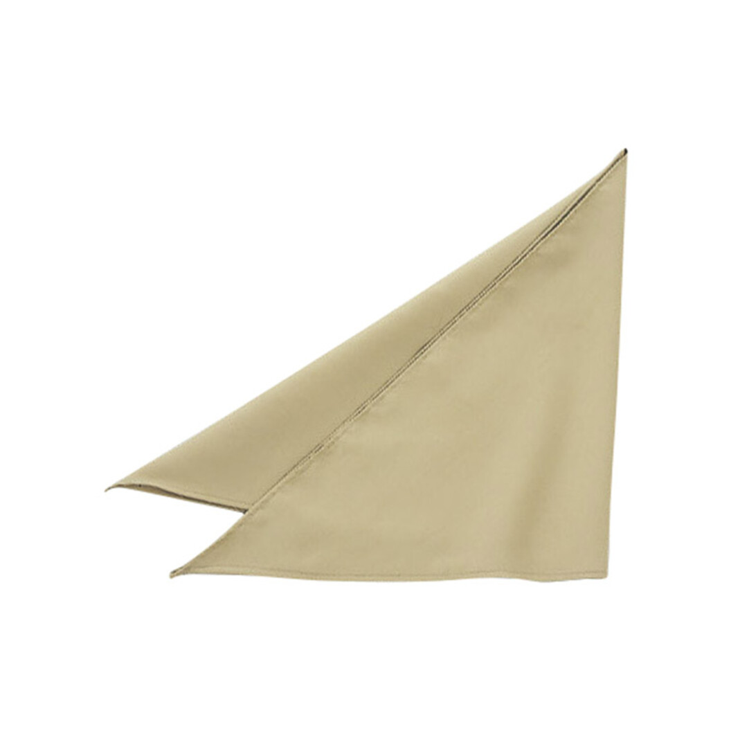 三角巾 EA5354-56