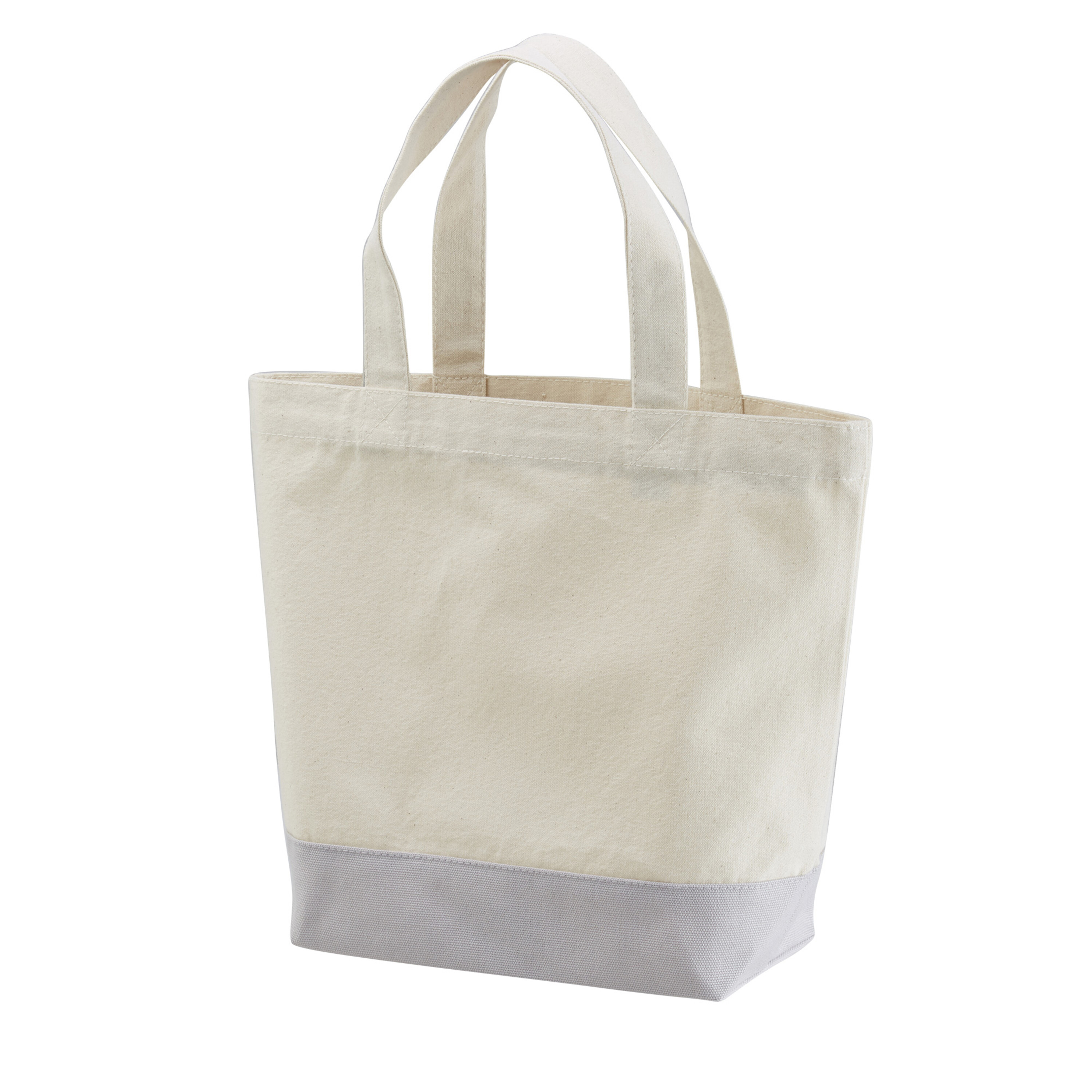 レギュラーキャンバストートバッグ Sサイズ 1460-01